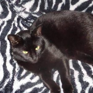 Meet your Posher, Jackie